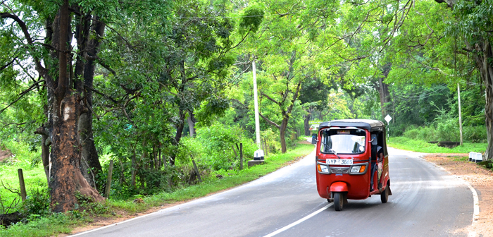 Learning to Drive in Sri Lanka – Nicole Smith